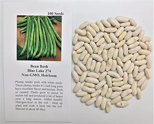 David's Garden Seeds Bean Bush Blue Lake 274 FBA-00015 (Green) 100 Non-GMO, Heirloom Seeds