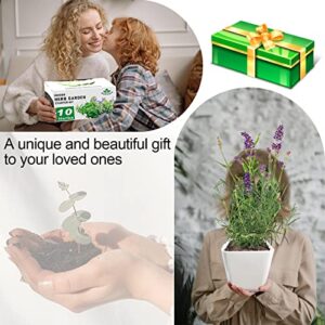 Herb Garden Kit Indoor Herb Starter Kit - 10 Variety Herbs with Complete Herb Growing Kit - Kitchen Window Herb Garden - Unique Gardening Gifts for Women & Men