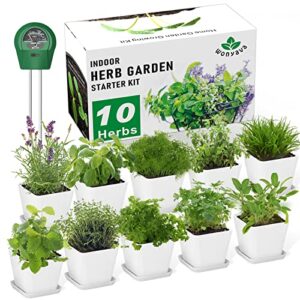 herb garden kit indoor herb starter kit – 10 variety herbs with complete herb growing kit – kitchen window herb garden – unique gardening gifts for women & men