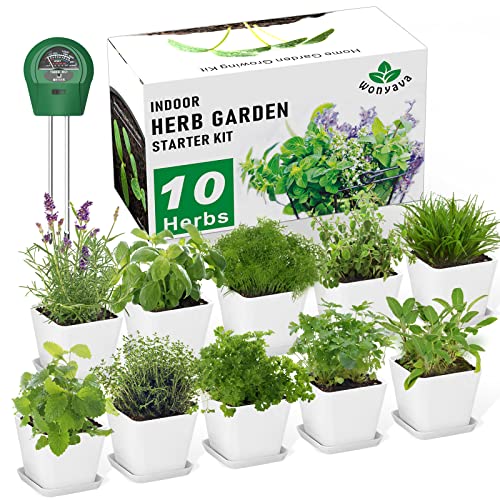 Herb Garden Kit Indoor Herb Starter Kit - 10 Variety Herbs with Complete Herb Growing Kit - Kitchen Window Herb Garden - Unique Gardening Gifts for Women & Men