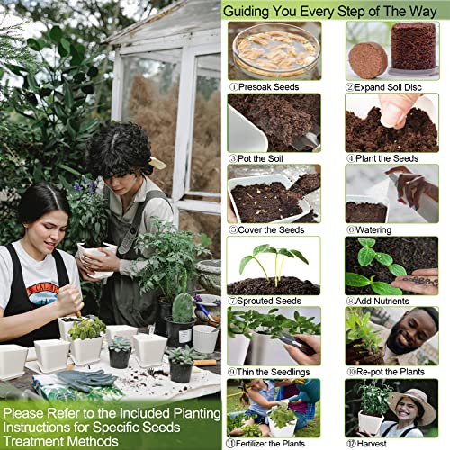 Herb Garden Kit Indoor Herb Starter Kit - 10 Variety Herbs with Complete Herb Growing Kit - Kitchen Window Herb Garden - Unique Gardening Gifts for Women & Men