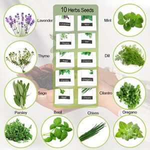 Herb Garden Kit Indoor Herb Starter Kit - 10 Variety Herbs with Complete Herb Growing Kit - Kitchen Window Herb Garden - Unique Gardening Gifts for Women & Men