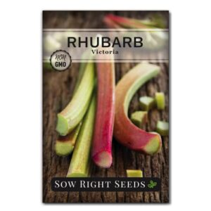 sow right seeds – victoria rhubarb seeds for planting – non-gmo heirloom packet with instructions to plant and grow an outdoor home vegetable garden – spectacular pie ingredient – great gardening gift