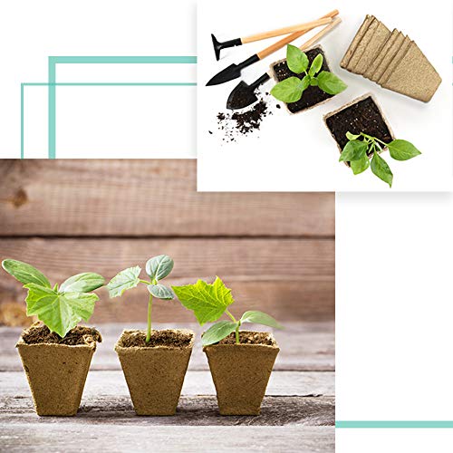 JOYSEUS 3.25" Seed Starter Pots, Organic Planting Peat Pots for Garden Seedling, 30 Pcs 100% Eco-Friendly and Biodegradable Seedling Pots for Seed Germination