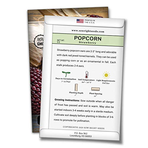Sow Right Seeds - Strawberry Popcorn Seed for Planting - Non-GMO Heirloom Packet with Instructions to Plant a Home Vegetable Garden
