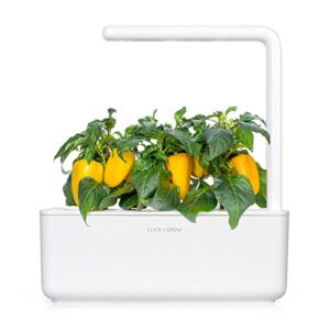 Click and Grow Smart Garden Yellow Sweet Pepper Plant Pods, 3-Pack