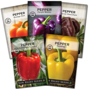 sow right seeds – sweet bell pepper seed collection for planting a home garden – orange, red, yellow, purple and chocolate brown bell peppers – non-gmo heirloom variety pack vegetable seeds to plant