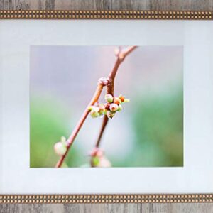 Raindrop on Branch, Limited Edition 1, Photo 3 of 4 - Framed Office Art- Inspirational 24x30-with 20x24-mat