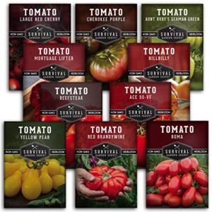 survival garden seeds 10 tomato collection – cherokee purple, roma, red cherry, aunt ruby’s green, hillbilly, yellow pear, mortgage lifter, red brandywine, ace 55-10 packs non-gmo heirloom tomatoes