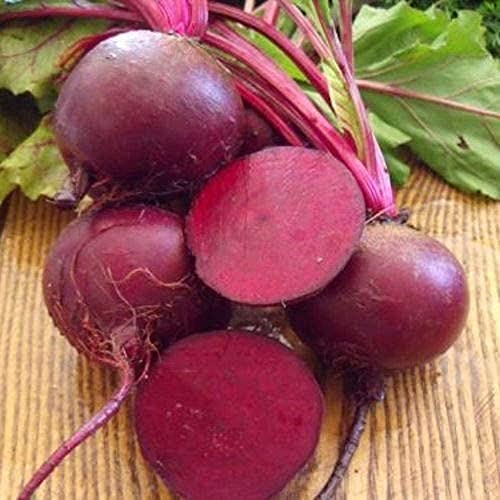 David's Garden Seeds Beet Detroit Dark Red FBA-00014 (Red) 200 Non-GMO, Heirloom Seeds