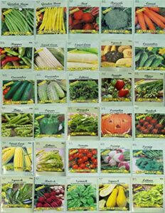 30 packs of deluxe valley greene heirloom vegetable garden seeds non-gmo(guaranteed 30 different varieties as listed)