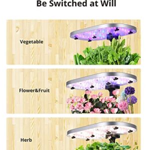 JustSmart WiFi 12 Pods Hydroponics Growing System with APP Controlled, Indoor Garden Up to 30" with 30W 120 LED Grow Light, Silent Pump System, Automatic Timer for Home Kitchen Gardening, GS1 Basic