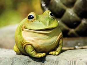 evergreen cute portly frog outdoor statue and secret key holder | weatherproof and outdoor safe | garden sculpture | porch garage or patio home decor | 6 inches tall