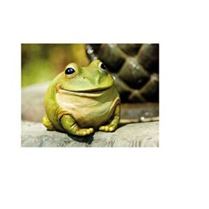 Evergreen Cute Portly Frog Outdoor Statue and Secret Key Holder | Weatherproof and Outdoor Safe | Garden Sculpture | Porch Garage or Patio Home Decor | 6 Inches Tall