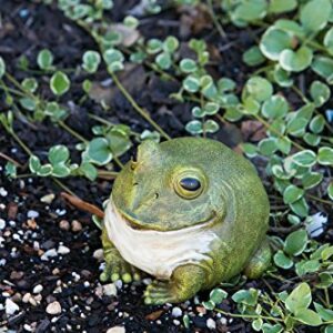 Evergreen Cute Portly Frog Outdoor Statue and Secret Key Holder | Weatherproof and Outdoor Safe | Garden Sculpture | Porch Garage or Patio Home Decor | 6 Inches Tall