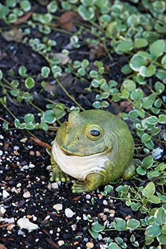 Evergreen Cute Portly Frog Outdoor Statue and Secret Key Holder | Weatherproof and Outdoor Safe | Garden Sculpture | Porch Garage or Patio Home Decor | 6 Inches Tall