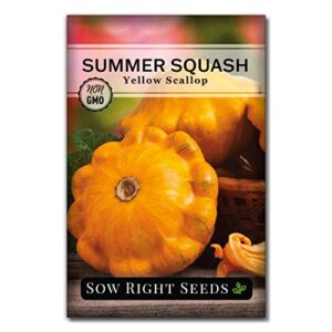 sow right seeds – yellow scallop summer squash seed for planting – non-gmo heirloom packet with instructions to plant a home vegetable garden