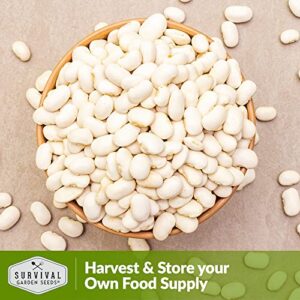 Survival Garden Seeds - Henderson Lima Bean Seed for Planting - 2 Packs with Instructions to Plant and Grow Tender White Butter Beans in Your Home Vegetable Garden - Non-GMO Heirloom Variety