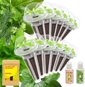 herb seed starter pod kit plant for idoo, ahopegarden, and inbloom 10 pods hydroponics, indoor garden, 12-pods (350+ seeds included basil, parsley, oregano, thyme, mint, cilantro, and dill)