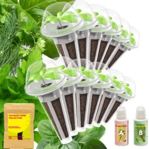 Herb Seed Starter Pod Kit Plant for idoo, Ahopegarden, and inbloom 10 Pods Hydroponics, Indoor Garden, 12-Pods (350+ Seeds Included Basil, Parsley, Oregano, Thyme, Mint, Cilantro, and Dill)