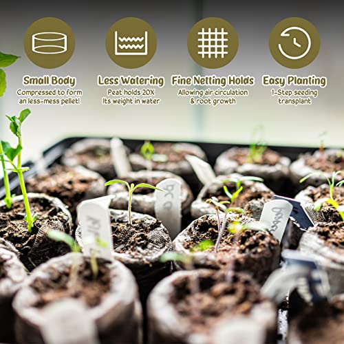 Legigo 500 Pcs 30mm Peat Pellets Starter Pods, Compressed Starting Plugs Pellet Fiber Soil Helps to Avoid Root Shock for Garden Planting Herb Flower Vegetables