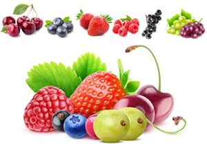 6 types mix fruit seeds for planting strawberries grape raspberries blueberry elderberry cherry seeds 560+ non-gmo heirloom and organic for home garden / bonsai berry seeds sweet and delicious