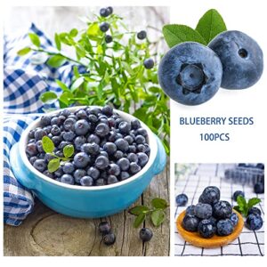6 Types Mix Fruit Seeds for Planting Strawberries Grape Raspberries Blueberry Elderberry Cherry Seeds 560+ Non-GMO Heirloom and Organic for Home Garden / Bonsai Berry Seeds Sweet and Delicious