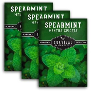 survival garden seeds – 3 packs spearmint seed for planting – mentha spicata with instructions to plant delicious herbs and grow your home herb garden – non-gmo heirloom variety