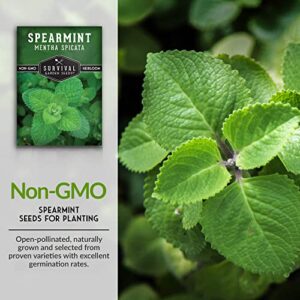 Survival Garden Seeds - 3 Packs Spearmint Seed for Planting - Mentha Spicata with Instructions to Plant Delicious Herbs and Grow Your Home Herb Garden - Non-GMO Heirloom Variety