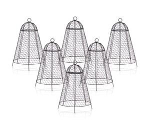 garden cloche plant protectors from animals chicken wire cloche dome for plants to protect from deer rabbits in outdoor vegetable garden with thick rustproof large cloches 12″ cage 20″ high set of 6