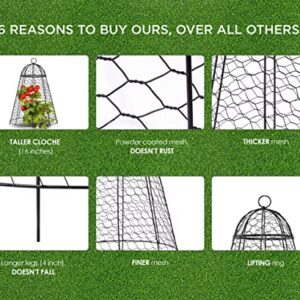 Garden Cloche Plant Protectors from Animals Chicken Wire Cloche Dome for Plants to Protect from Deer Rabbits in Outdoor Vegetable Garden with Thick Rustproof Large Cloches 12" Cage 20" High Set of 6