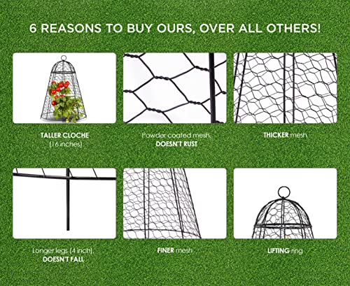 Garden Cloche Plant Protectors from Animals Chicken Wire Cloche Dome for Plants to Protect from Deer Rabbits in Outdoor Vegetable Garden with Thick Rustproof Large Cloches 12" Cage 20" High Set of 6