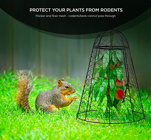 Garden Cloche Plant Protectors from Animals Chicken Wire Cloche Dome for Plants to Protect from Deer Rabbits in Outdoor Vegetable Garden with Thick Rustproof Large Cloches 12" Cage 20" High Set of 6