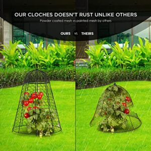 Garden Cloche Plant Protectors from Animals Chicken Wire Cloche Dome for Plants to Protect from Deer Rabbits in Outdoor Vegetable Garden with Thick Rustproof Large Cloches 12" Cage 20" High Set of 6