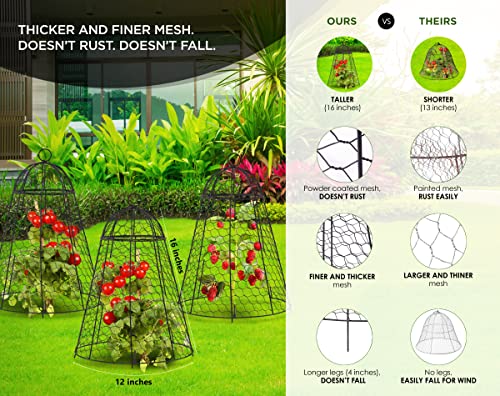 Garden Cloche Plant Protectors from Animals Chicken Wire Cloche Dome for Plants to Protect from Deer Rabbits in Outdoor Vegetable Garden with Thick Rustproof Large Cloches 12" Cage 20" High Set of 6