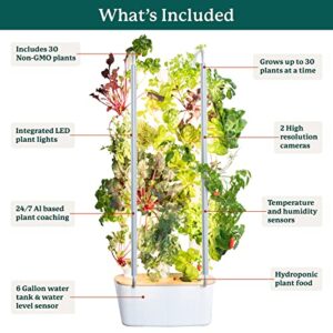 Gardyn 2.0 Hydroponics Growing System Indoor Garden Vertical Garden Planter | 30 Non-GMO Indoor Plants, Herbs & Vegetables Indoor Gardening System - LED Grow Lights | No Soil, Grow Tent or Green House