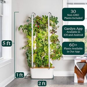 Gardyn 2.0 Hydroponics Growing System Indoor Garden Vertical Garden Planter | 30 Non-GMO Indoor Plants, Herbs & Vegetables Indoor Gardening System - LED Grow Lights | No Soil, Grow Tent or Green House