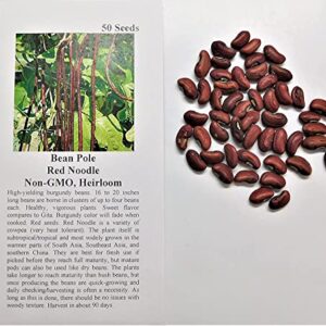 David's Garden Seeds Bean Pole Yard Long Red Noodle FBA-00031 (Red) 50 Non-GMO, Heirloom Seeds