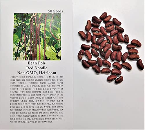 David's Garden Seeds Bean Pole Yard Long Red Noodle FBA-00031 (Red) 50 Non-GMO, Heirloom Seeds