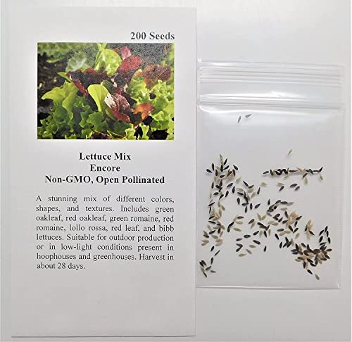 David's Garden Seeds Lettuce Mix Encore FBA-0006 (Multi) 200 Non-GMO, Heirloom Seeds