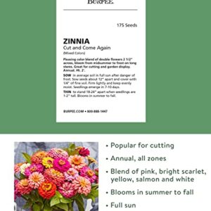Burpee Cut & Come Again Zinnia Seeds 175 seeds