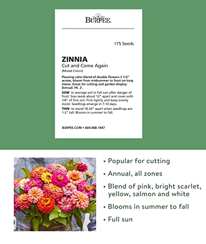 Burpee Cut & Come Again Zinnia Seeds 175 seeds