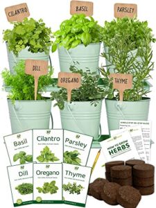 medicinal herbs starter kit – 6 different heirloom, non gmo herb seeds – cilantro, basil, parsley, oregano, dill, thyme – deluxe metal pots, soil, markers included – made in usa – indoor and outdoor