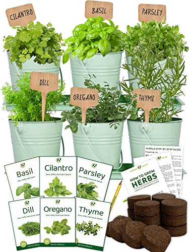 Medicinal Herbs Starter Kit - 6 Different Heirloom, Non GMO Herb Seeds - Cilantro, Basil, Parsley, Oregano, Dill, Thyme - Deluxe Metal Pots, Soil, Markers Included - Made in USA - Indoor and Outdoor