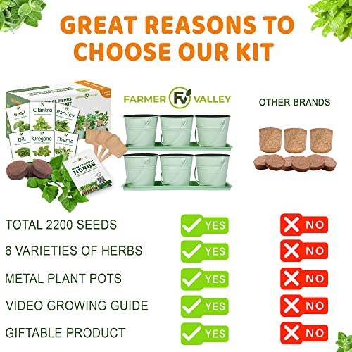 Medicinal Herbs Starter Kit - 6 Different Heirloom, Non GMO Herb Seeds - Cilantro, Basil, Parsley, Oregano, Dill, Thyme - Deluxe Metal Pots, Soil, Markers Included - Made in USA - Indoor and Outdoor