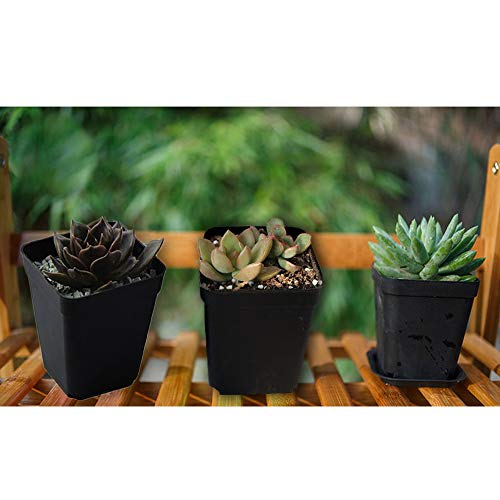 24 Pack 3 Inch Black Nursery Pot Flower Pots Square Plastic Plant Pot Plastic Starter Pots with Saucer Basket Indoor Outdoor for Your Room,Garden Office and Balcony Decor