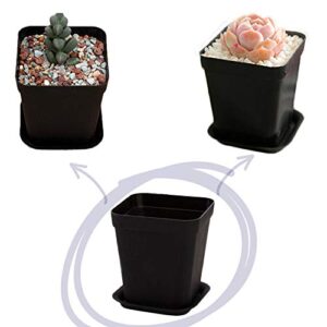 24 Pack 3 Inch Black Nursery Pot Flower Pots Square Plastic Plant Pot Plastic Starter Pots with Saucer Basket Indoor Outdoor for Your Room,Garden Office and Balcony Decor