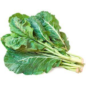 TKE Farms - Georgia Southern Collard Green Seed for Planting, 2 Grams ≈ 225 Seeds, Brassica oleracea