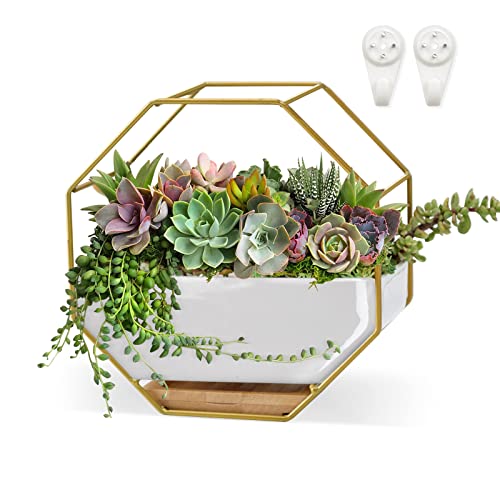 ChiRee Succulent Planters 7×3.5 Inch Decorative Ceramic Flower Plant Pots with Metal Holder Hanging and Place Dual-Purpose Garden Planter Pot with Drainage and Saucer for Indoor Home Office Desktop