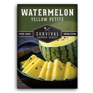 survival garden seeds – yellow petite watermelon seed for planting – packet with instructions to plant and grow small yellow watermelons in your home vegetable garden – non-gmo heirloom variety